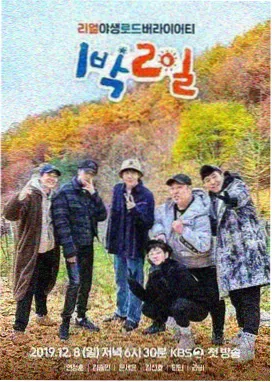 交给岚吧 在线观看中文免费完整版